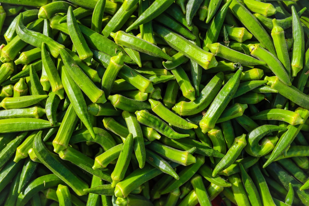 Stall of of Okra