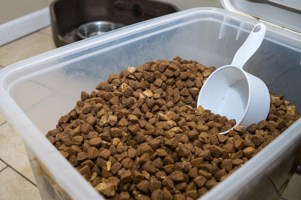 Can I Feed My Canine Retailer-Bought Kibble? Vet-Approved Food regimen Info – Dogster