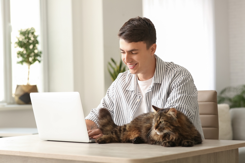 Pet Telehealth: How Does It Work for Your Cat? Vet Accredited Data & FAQ